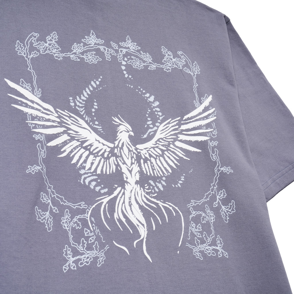PHOENIX
